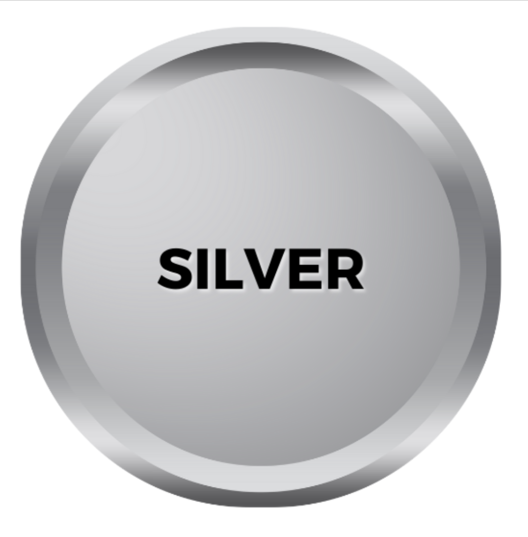 Silver Sponsorship